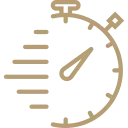 سرعة التنفيذ