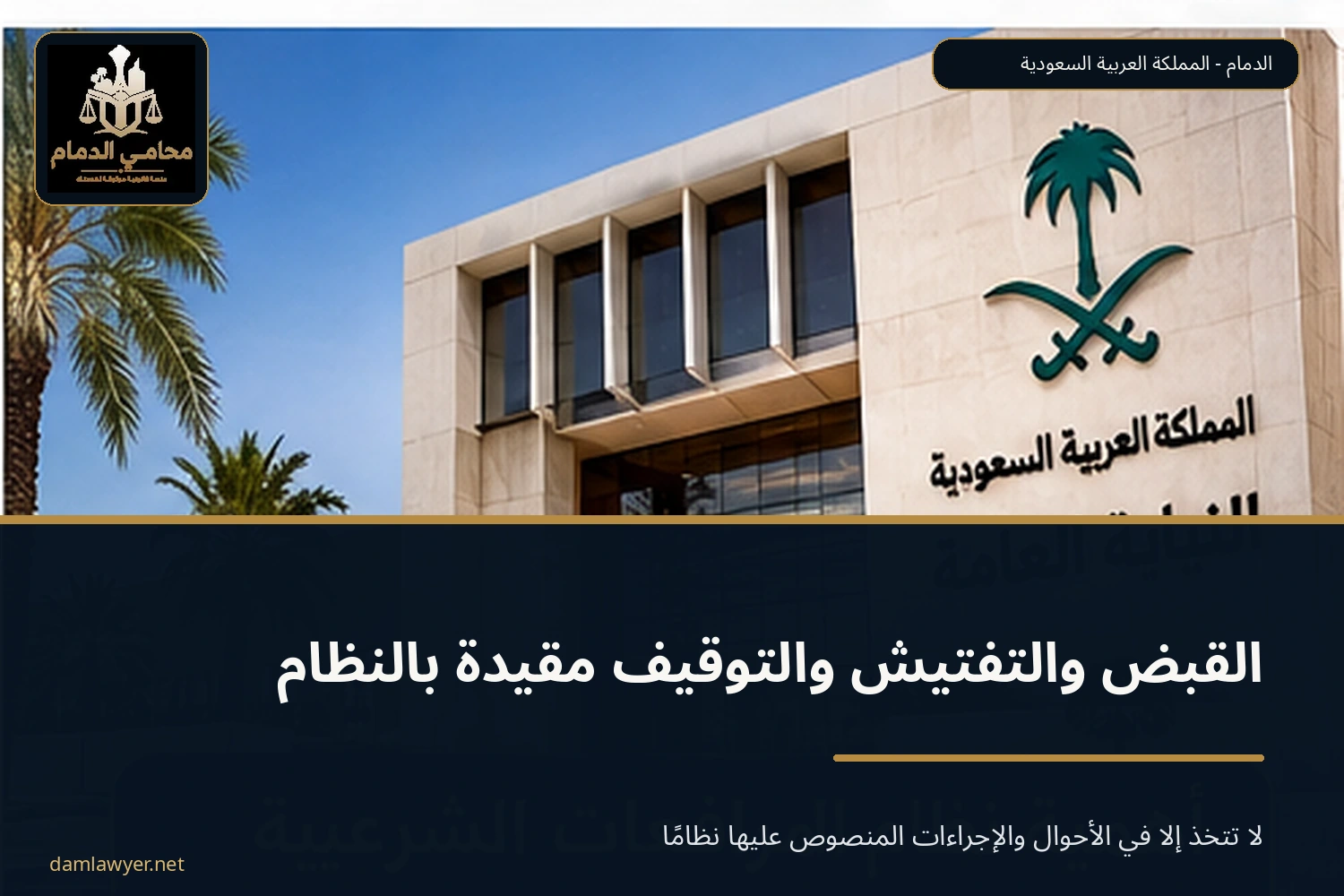 القبض والتفتيش والتوقيف مقيدة بالنظام