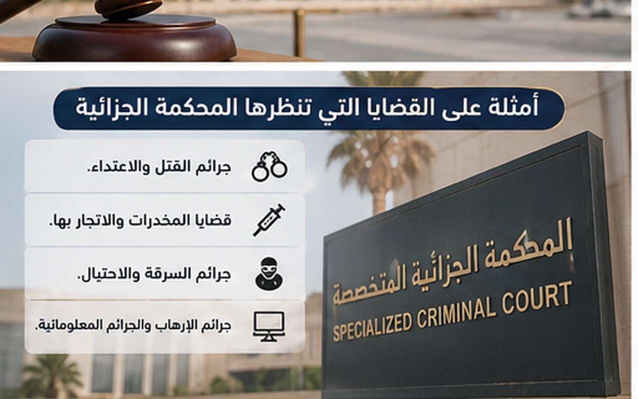 أمثلة على القضايا التي تنظرها المحكمة الجزائية